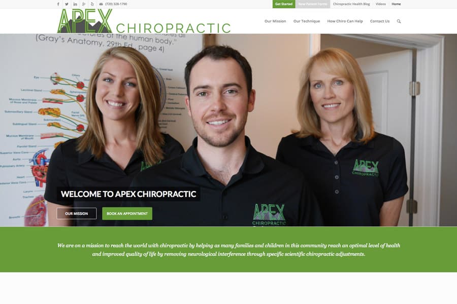 Chiropractor Website screenshot 2